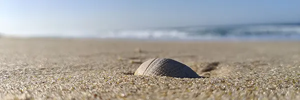 Arcachon - Service de chauffeur privé